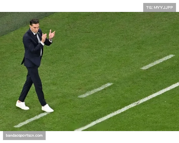 博斯克点评阿隆索直言风格称教练表达应更含蓄谨慎